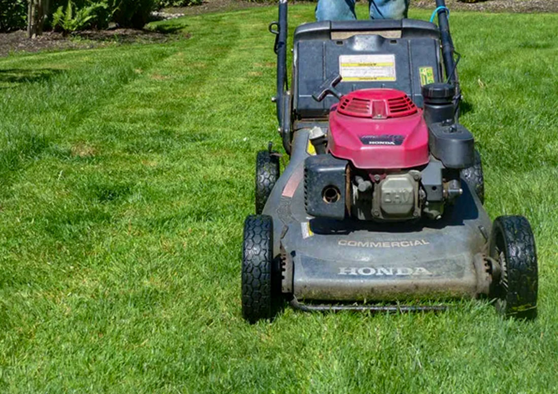 No mowing and less maintenance for artificial turf installations