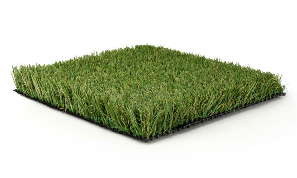 Silver Lite Turf Full View